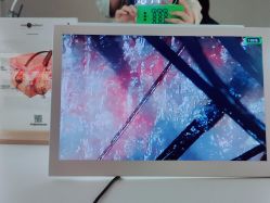 -Meng Lang 梦郎白金店