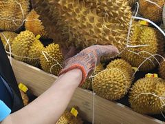 -盒马鲜生(财富中心店)