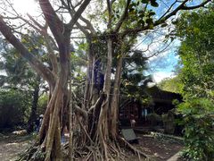 -海口火山口国家地质公园