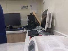 -佩兹宠物医院肿瘤专科·眼科·牙科(黄浦店)