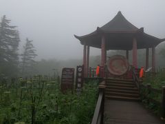 -凤凰山国家森林公园