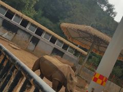 -泉州海丝野生动物世界