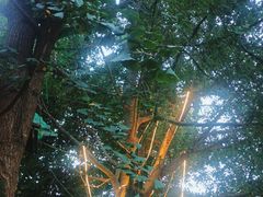 -回水镇·江湖川菜(恒大新城店)