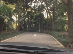 -春兰国宾馆(凤城河风景区老街店)