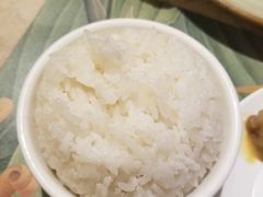 坚硬的大米饭-大树餐厅(红旗街万达店)