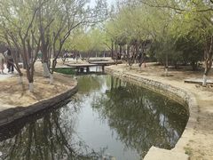 -三里河公园