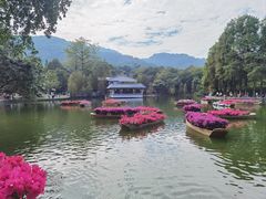-广州市白云山风景名胜区