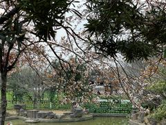 -八大山人梅湖景区