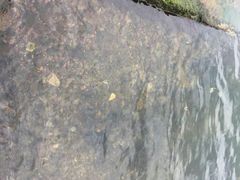 -南诏风情岛