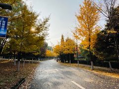 -长白岛森林公园