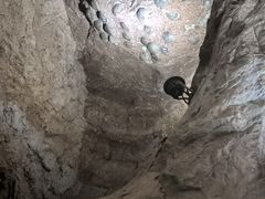 -中国西峡恐龙遗迹园