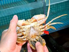 -三妹小龙虾·黄油蟹(华侨城总店)