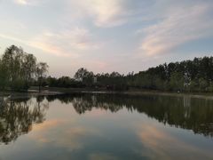-东郊湿地公园