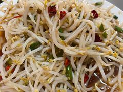呛绿豆芽-三中高皇羊肉馆