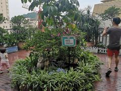 -屋顶花园餐厅(步行街老地王大厦店)