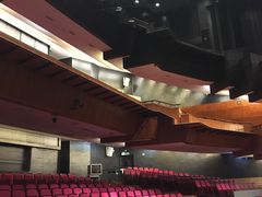 -顺德演艺中心大剧院