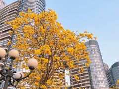 -洲头咀公园
