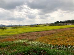 -光明小镇欢乐田园