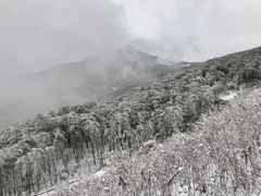 -江南天池高山汤泉城