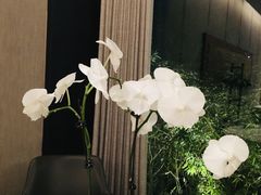 -蘇锦宴·淮扬菜烤鸭·小院(三元桥霄云路店)
