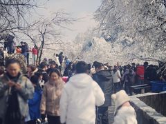 -紫金山山顶公园