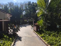 -碧水湾温泉