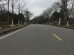 -尚贤河湿地
