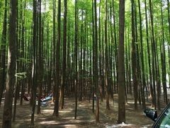 -山王坪喀斯特国家生态公园