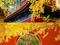-颐和园