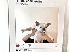 -Double Rui宠物酒店