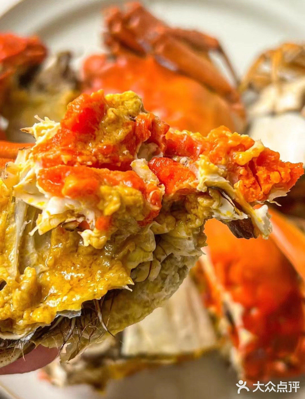 螃蟹🦀五个部位都不能吃❌