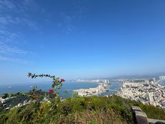 -广东惠东海龟国家级自然保护区