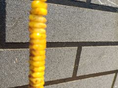 -老兰家传统烧烤炒菜泡馍(小南门店)