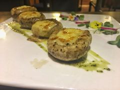 -百好乐宠物友好餐厅(朝外大街店)