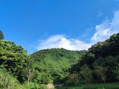 -梧桐山风景名胜区