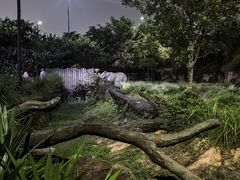 -夜间野生动物园