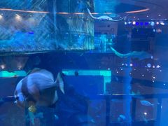 -乐从天佑城星光广场