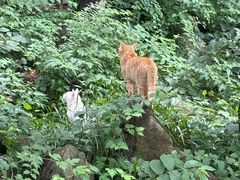 -崂山巨峰游览区