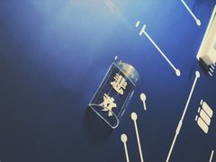 -杯欢制茶(三里屯店)