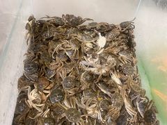 -小明家·鲜牛肉自选火锅(中街店)