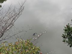 -宁波市保国寺古建筑博物馆