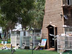 -长白岛森林公园