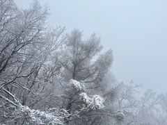 -庙香山滑雪场
