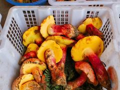 -云南木水花野生菌交易中心