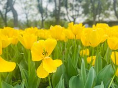 -玄武湖景区-情侣园游乐场