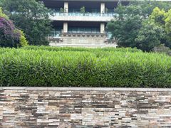 -张坝桂圆林公园