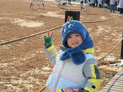 -盐城丹顶鹤湿地生态旅游区