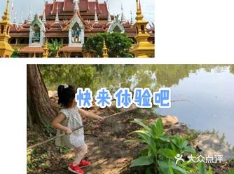在这秋高气爽的季节最适合不过出去游玩了