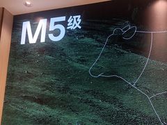-五星桥原切肥牛火锅(怀德桥店)