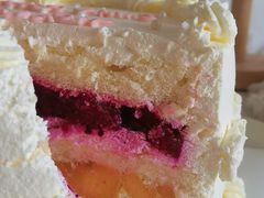 -今日·TODAY手作低脂动物奶油蛋糕定制(高新万达店)